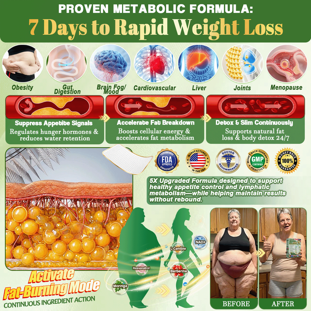 Moringa • Berberine × NAD+ 10-in-1 Advanced Nano Microneedle Patch — Once Daily, Visible Results in 7 Days-ZDJ