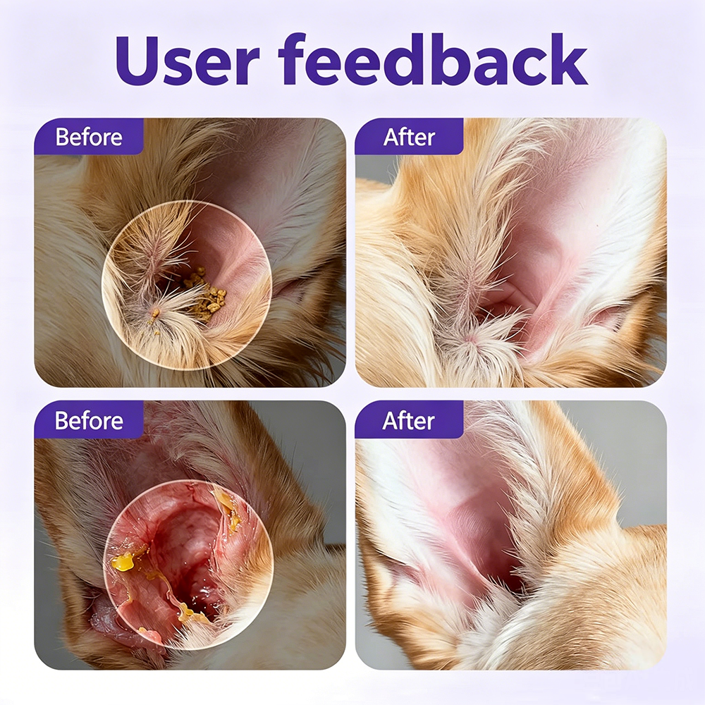 🔥Professional Pet Ear Cleaning Drops Say Goodbye to Odor & Itching Rediscover Clean, Healthy Ears!-ZDJ