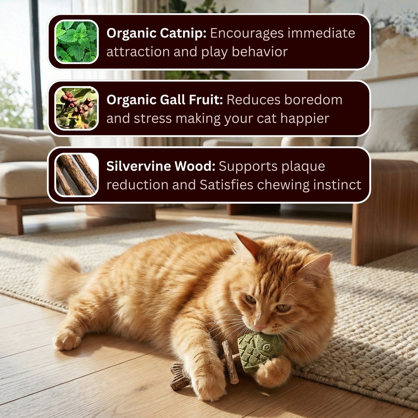 Let Your Cat Brush Their Own Teeth! 🦷🐱 (Buy 1 Get 1 FREE)-ZDJ
