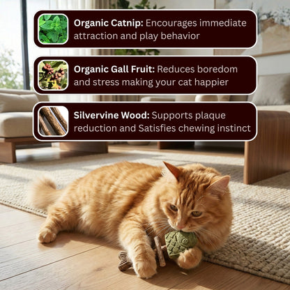 Let Your Cat Brush Their Own Teeth! 🦷🐱 (Buy 1 Get 1 FREE)-ZDJ