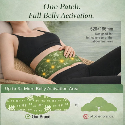 Herbal Balance Patch — Japanese Kampo Formula-WL