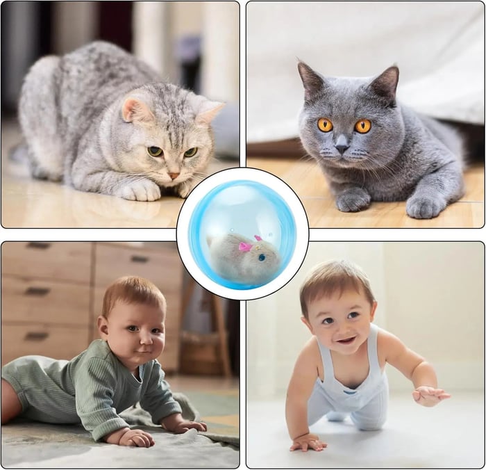 Auto-Rolling Ball with Mouse Hands-Free Play for Indoor Cats-ZDJ
