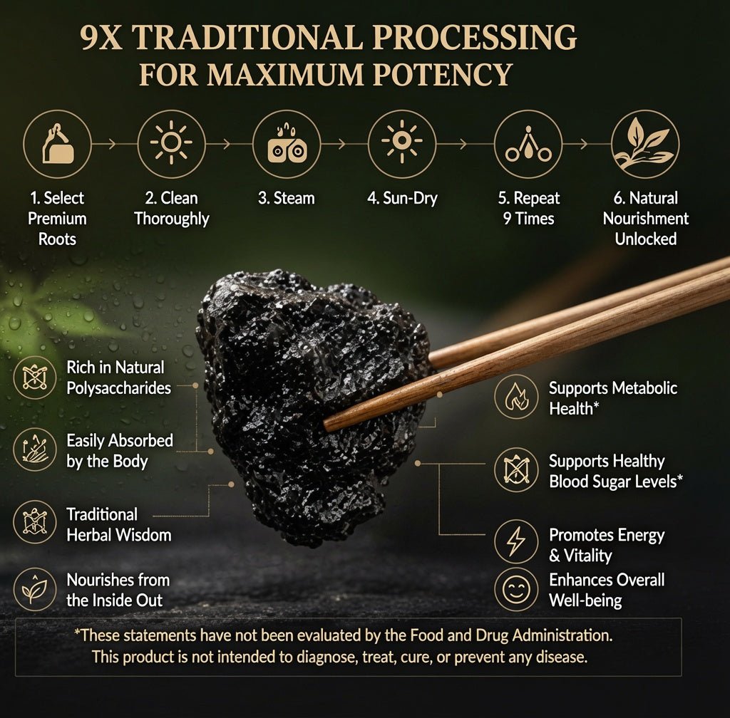 9X Prepared Rehmannia Root | Natural Blood Sugar & Metabolic Support Tonic-ZDJ