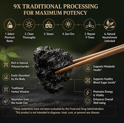 9X Prepared Rehmannia Root | Natural Blood Sugar & Metabolic Support Tonic-ZDJ