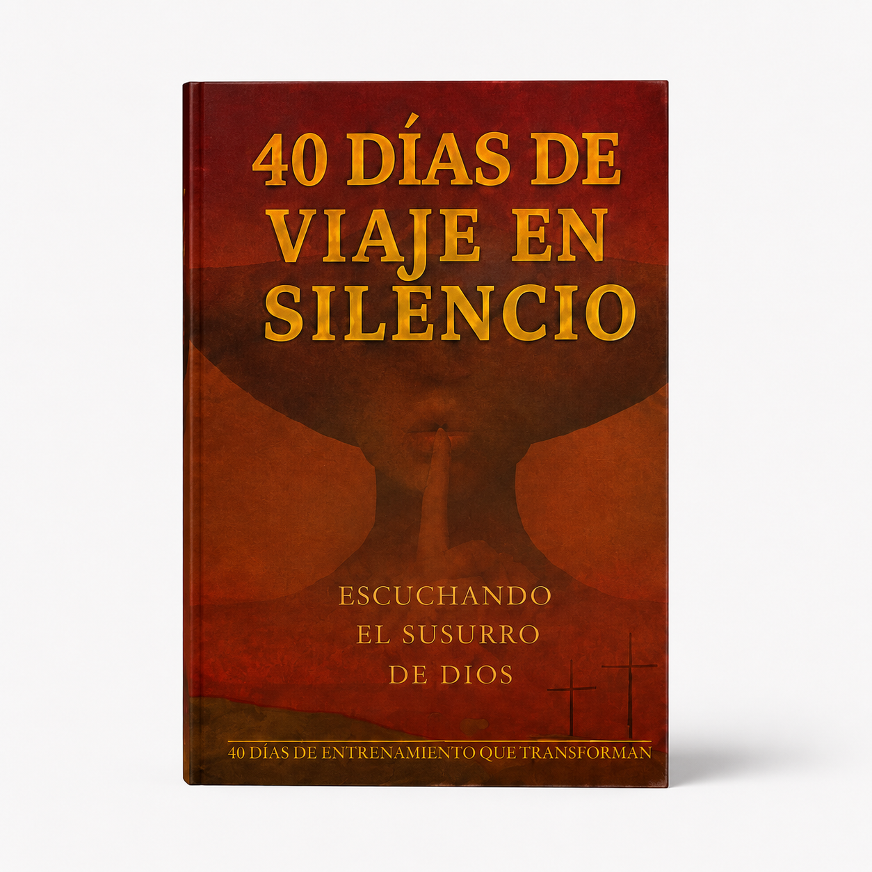 40 DiAS DE VIAJE ENSILENCIO