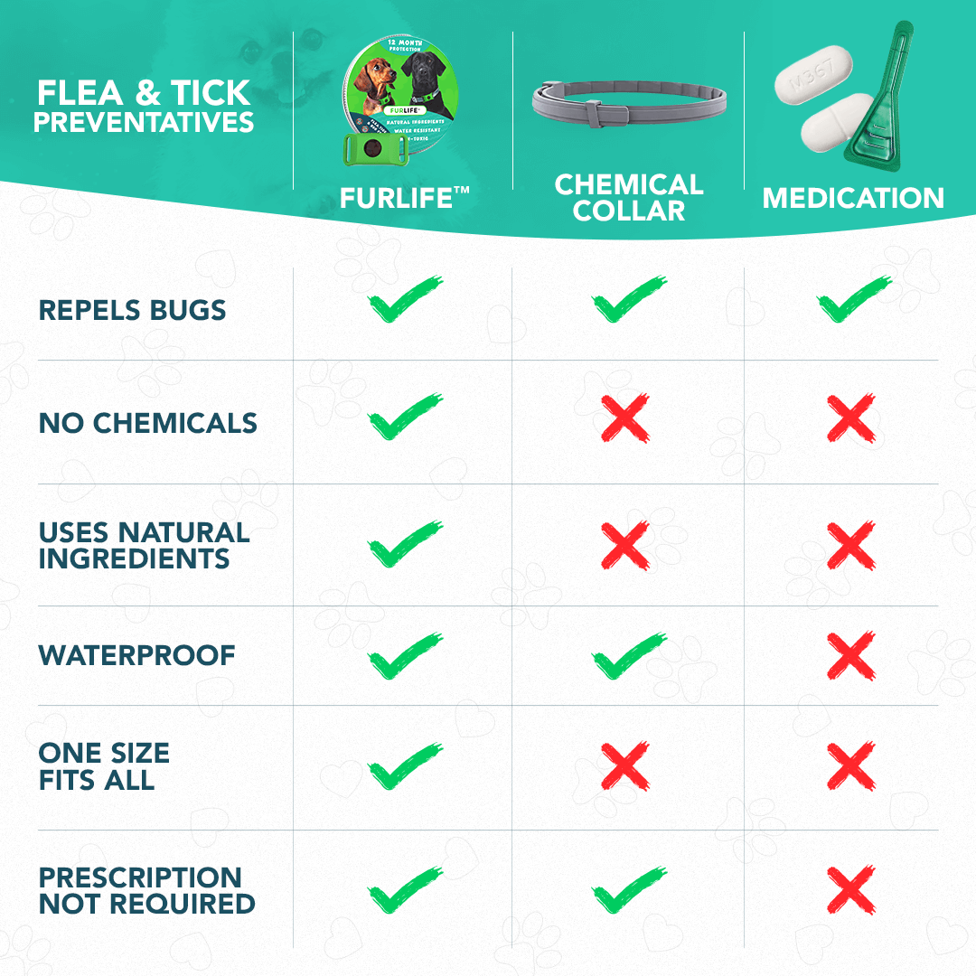 FurLife™ 12 Months Flea and Tick Free image 8