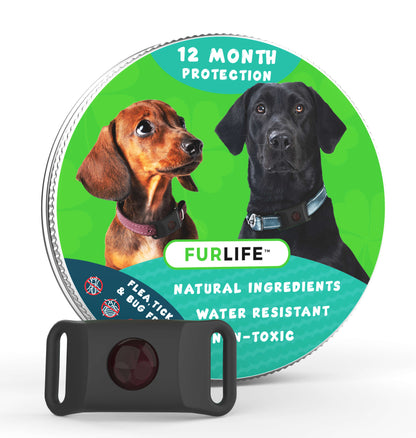 FurLife™ 12 Months Flea and Tick Free image 6