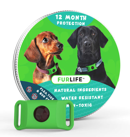 FurLife™ 12 Months Flea and Tick Free image 2