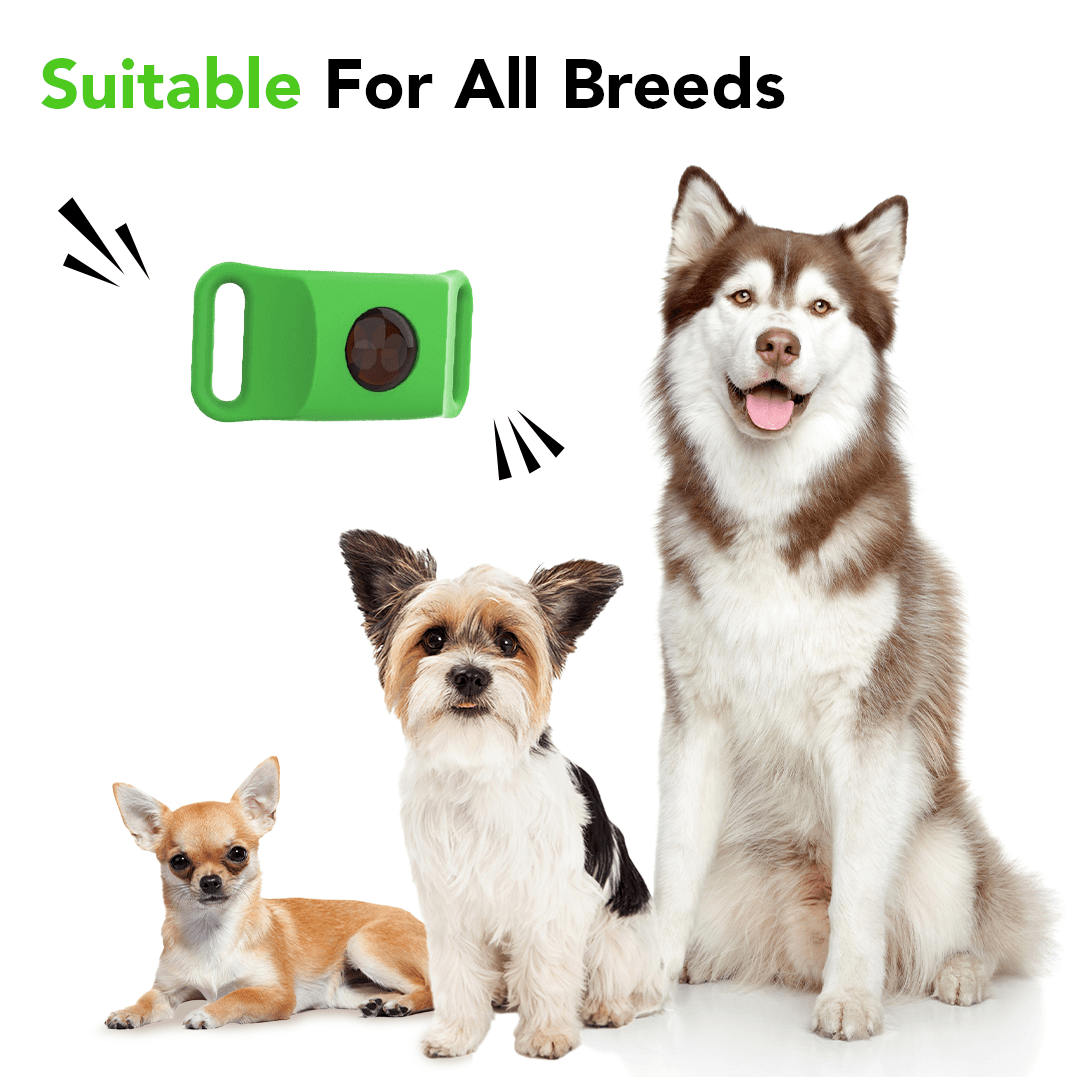 FurLife™ 12 Months Flea and Tick Free image 11