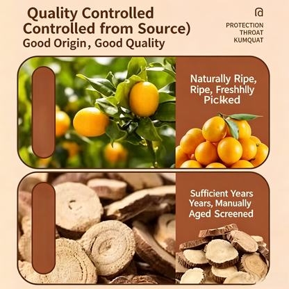 😋Licorice Kumquat- 🍃Natural Healthy Green Snack-CU