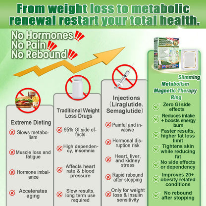 Moringa • Berberine × NAD+ 10-in-1 Advanced Nano Microneedle Patch — Once Daily, Visible Results in 7 Days-ZDJ