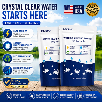 🌟 Official Store |⏱️ Crystal Clear in 24 Hours! | Verityna®Water Clarifying Powder-WL
