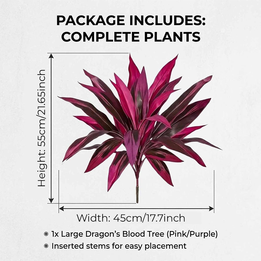 🔥Last Day 50% OFF🔥2Pcs Artificial Boston Fern & Dragon's Blood Tree Plants-WL