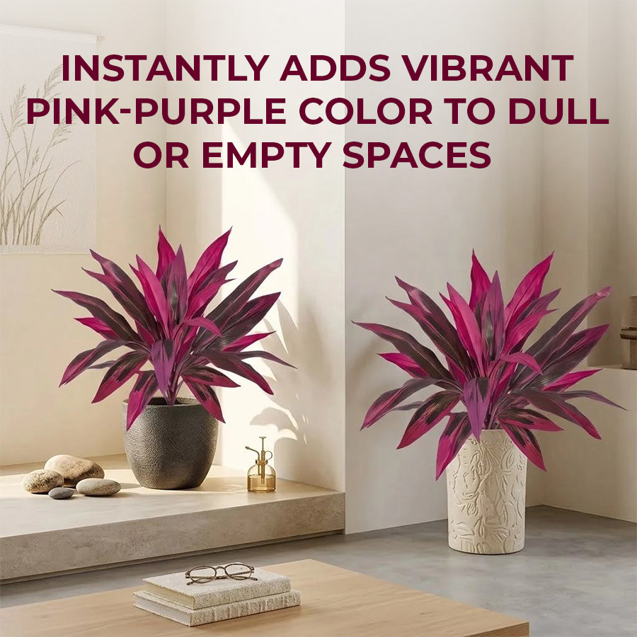 🔥Last Day 50% OFF🔥2Pcs Artificial Boston Fern & Dragon's Blood Tree Plants-WL