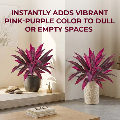 🔥Last Day 50% OFF🔥2Pcs Artificial Boston Fern & Dragon's Blood Tree Plants-WL