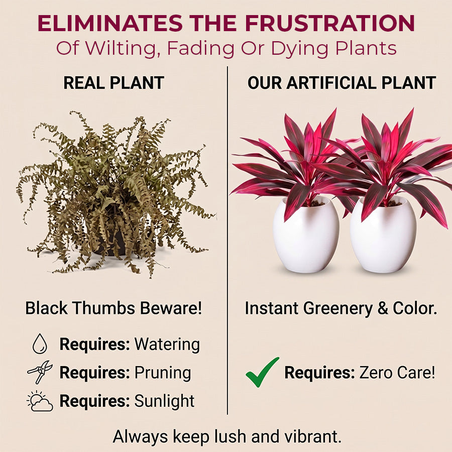 🔥Last Day 50% OFF🔥2Pcs Artificial Boston Fern & Dragon's Blood Tree Plants-WL