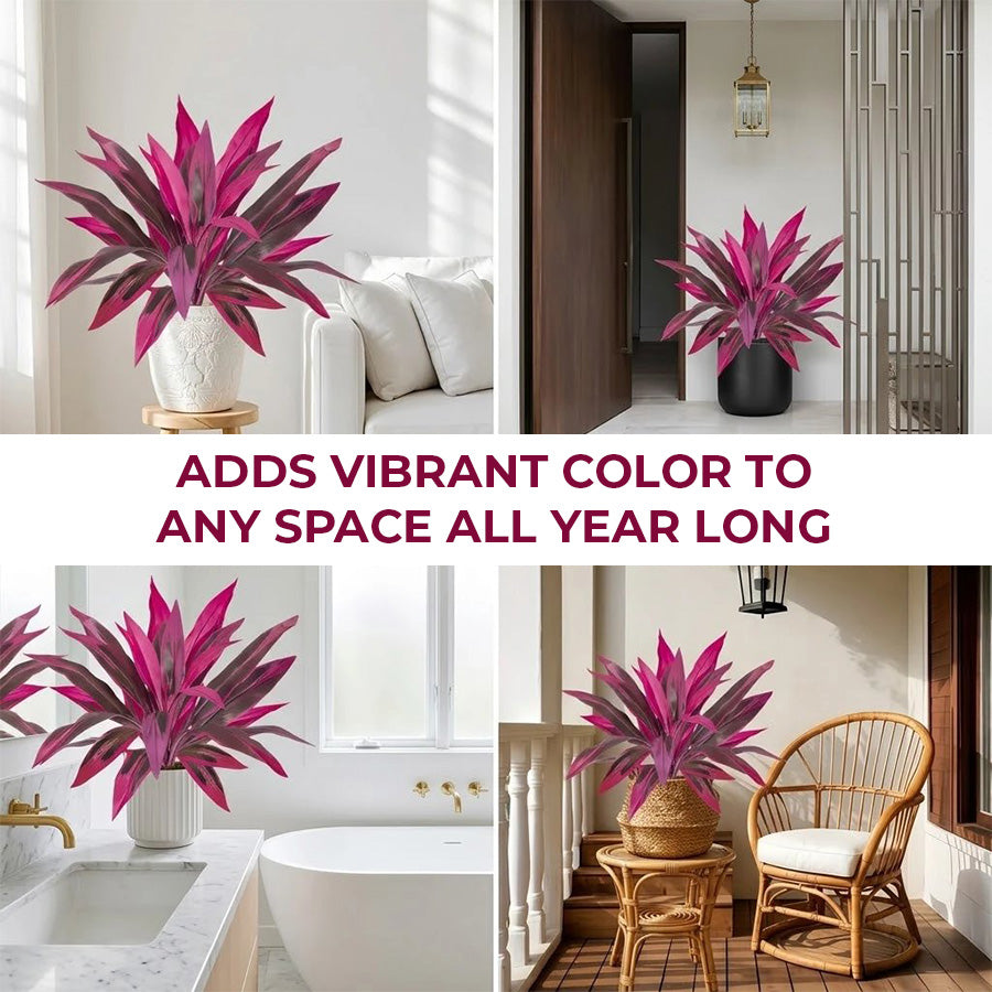 🔥Last Day 50% OFF🔥2Pcs Artificial Boston Fern & Dragon's Blood Tree Plants-WL